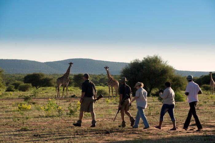 Cedarberg Travel | Marataba Mountain Lodge