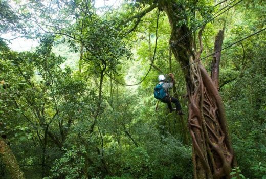 Top 20 Things to do with Children in Cape Town (Part 2)