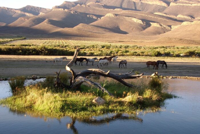 Cedarberg Travel | Mount Ceder