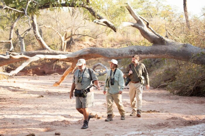 Cedarberg Travel | Musango Safari Camp