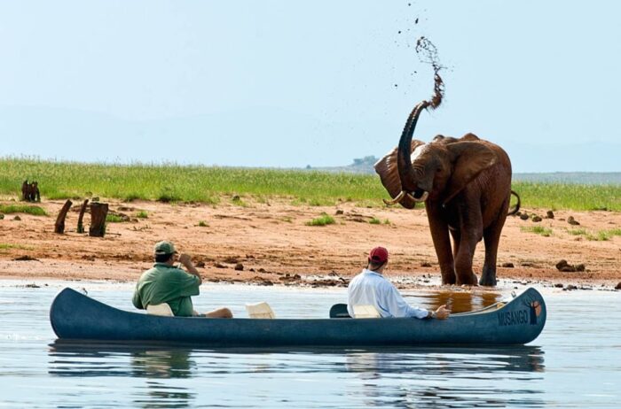 Cedarberg Travel | Musango Safari Camp