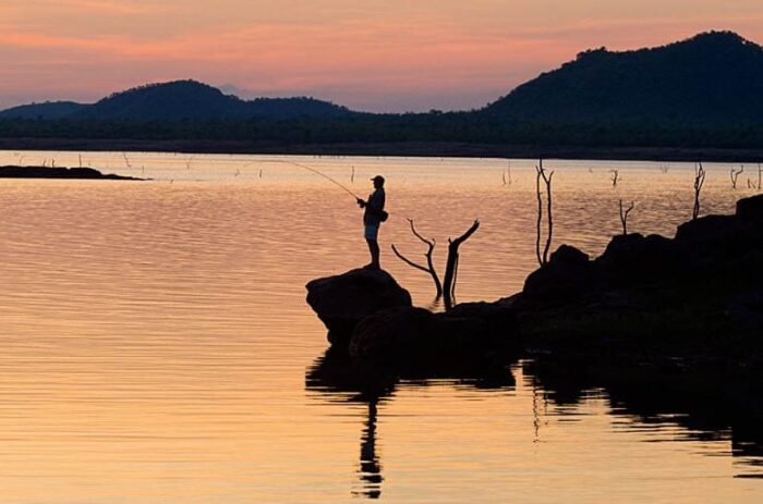 Cedarberg Travel | Musango Safari Camp