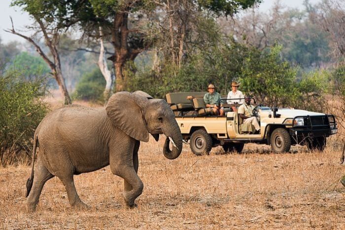 Cedarberg Travel | Valley & Lake Safari