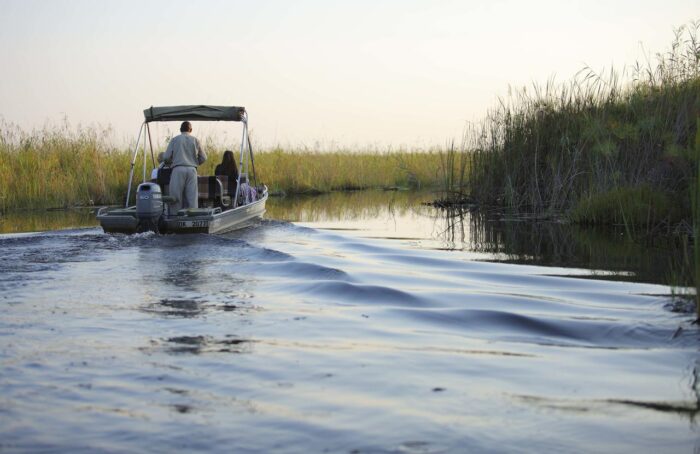 Cedarberg Travel | Okavango Delta Safari