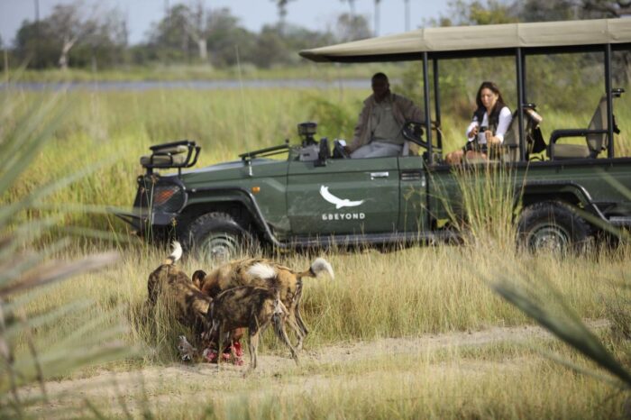 Cedarberg Travel | andBeyond Nxabega Okavango Tented Camp