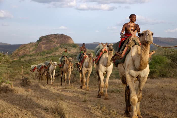 Cedarberg Travel | Ol Malo House