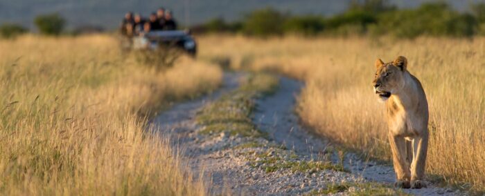 Cedarberg Travel | Royal Madikwe Luxury Safari Lodge