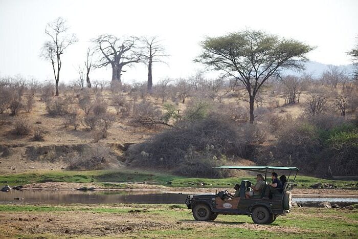 Ruaha River Lodge - Foxes Wilderness Wildlife Extravaganza