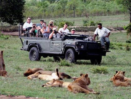 Tips on Wildlife Safari Photography – part 2