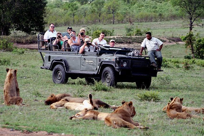 Sabi-Sands-Savanna-game-drive