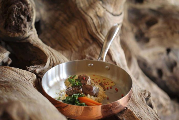Cedarberg Travel | andBeyond Sandibe Okavango Safari Lodge