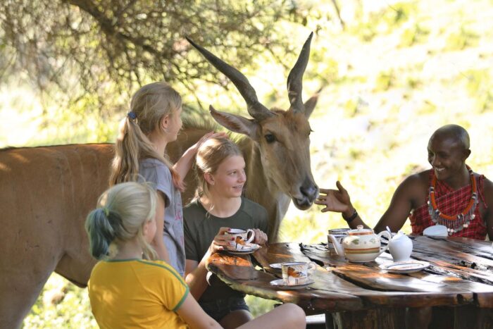 Cedarberg Travel | Saruni Mara