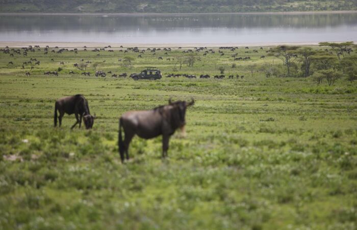 Cedarberg Travel | andBeyond Serengeti Under Canvas