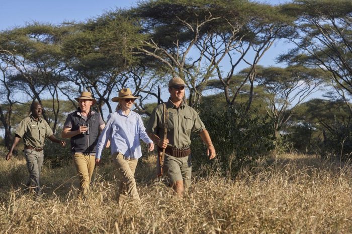 Cedarberg Travel | Singita Pamushana Lodge