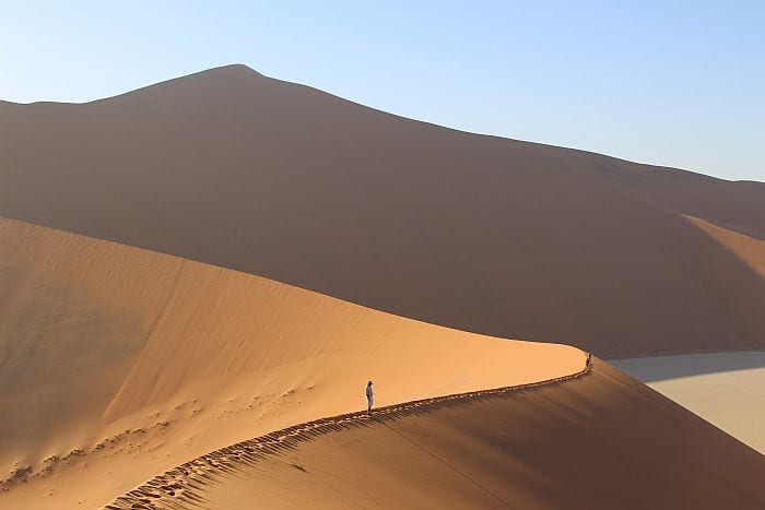 Cedarberg Travel | Rovos Rail Namibia Train Safari 11 nights