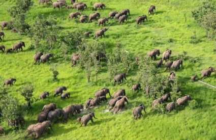 Namibia Fly-In with Skeleton Coast