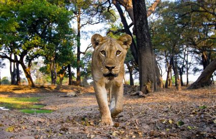 Namibia Fly-In with Skeleton Coast