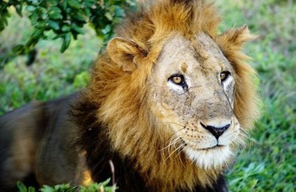 Namibia Fly-In with Skeleton Coast