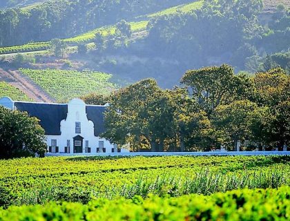 Top 10 Golf Courses in Cape Town & Garden Route in 2025