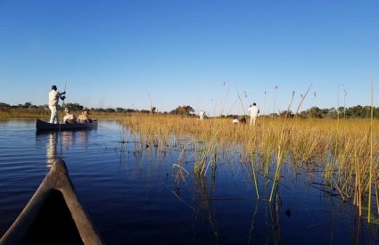 Namibia Fly-In with Skeleton Coast
