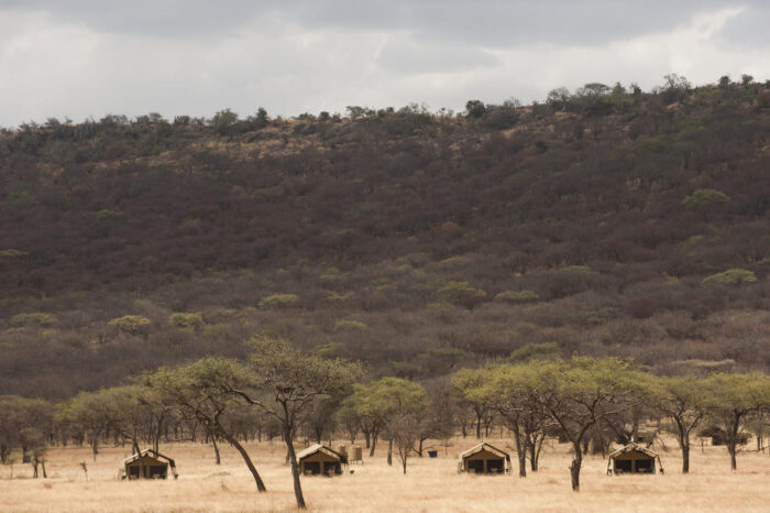 Cedarberg Travel | Kati Kati Tented Camp