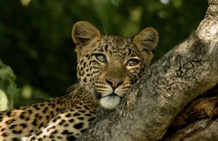 Namibia Fly-In with Skeleton Coast