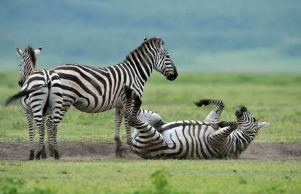 Namibia Fly-In with Skeleton Coast