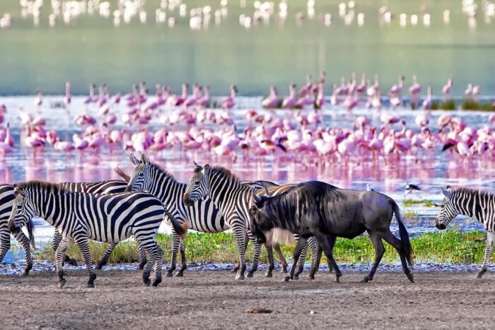 Cedarberg Travel | Northern Highlights & Zanzibar