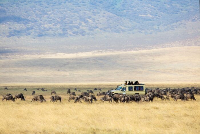 Cedarberg Travel | Northern Highlights & Zanzibar