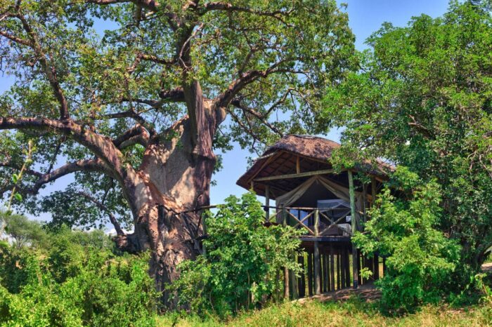 Cedarberg Travel | Mbali Mbali Tarangire River Camp