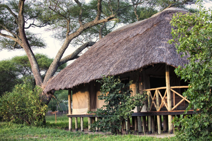 Cedarberg Travel | Mbali Mbali Tarangire River Camp