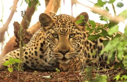 Namibia Fly-In with Skeleton Coast