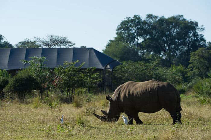 Cedarberg Travel | Toka Leya Camp