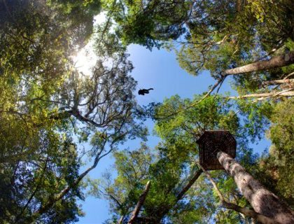 Garden Route  Attractions:  20 Things to Do with Children