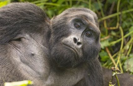 Namibia Fly-In with Skeleton Coast
