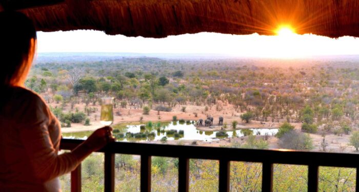 Cedarberg Travel | Victoria Falls Safari Lodge