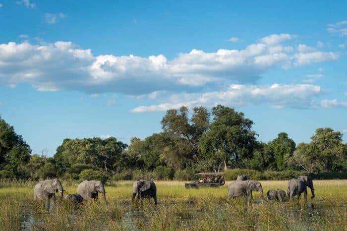 Cedarberg Travel | Little Vumbura