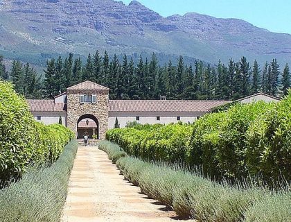 Top 10 Golf Courses in Cape Town & Garden Route in 2025
