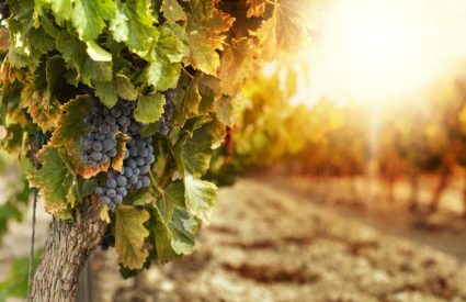 Namibia Fly-In with Skeleton Coast