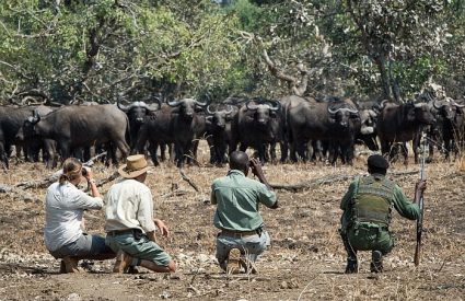 Namibia Fly-In with Skeleton Coast