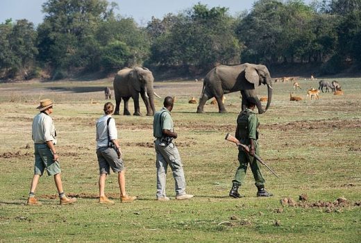 Stellenbosch versus Franschhoek: Who wins the battle in the Cape Winelands?