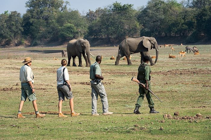 Mobile-walking-safari-Walking safari