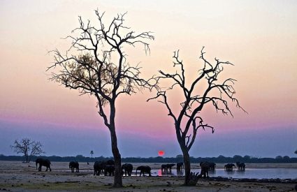 Namibia Fly-In with Skeleton Coast