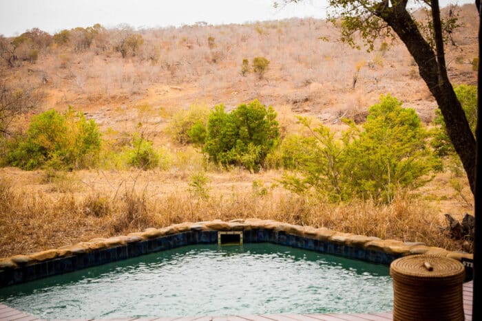 Cedarberg Travel | Amakhosi Safari Lodge