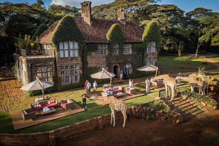 Cedarberg Travel | Giraffe Manor