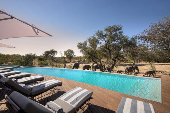 Cedarberg Travel | andBeyond Ngala Safari Lodge