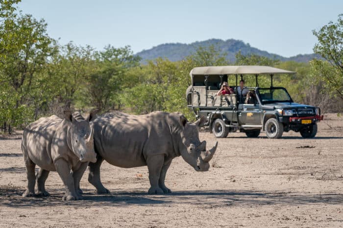 Cedarberg Travel | Ongava Lodge