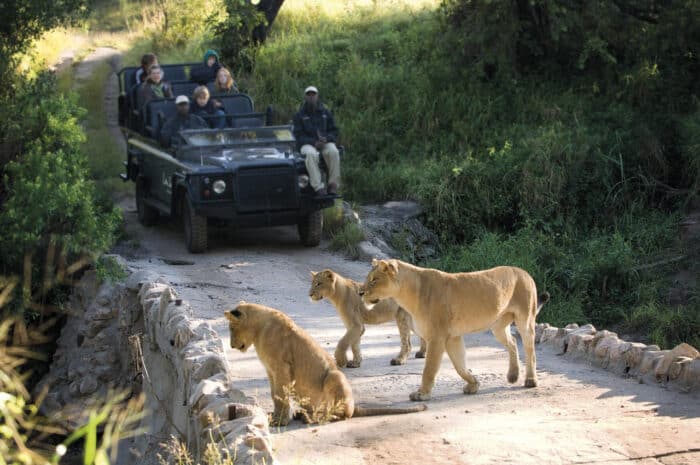 Cedarberg Travel | Lion Sands Tinga Lodge