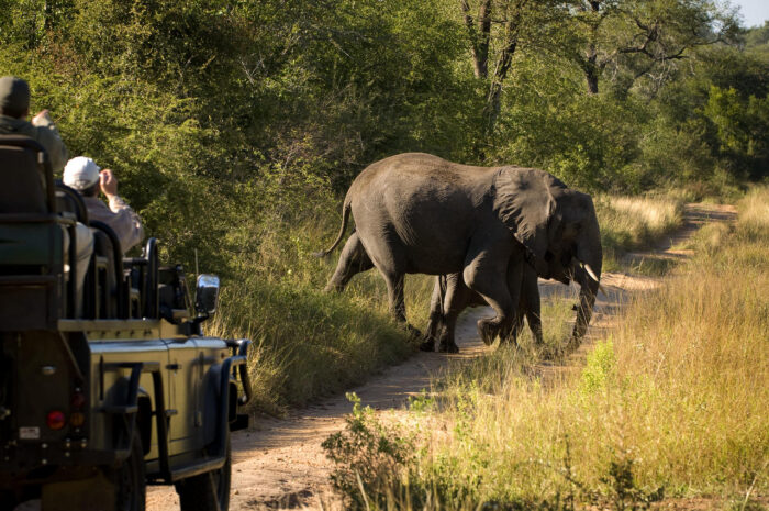 Cedarberg Travel | Lion Sands Narina Lodge