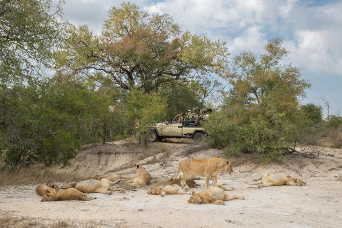 Cedarberg Travel | Arathusa Safari Lodge